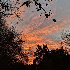 Meet your Posher, Kendall